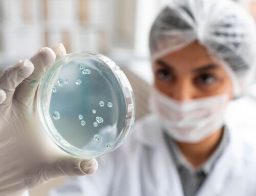 IPN Descubre e investiga bacteria del pulque que puede ayudar contra el cancer de colon